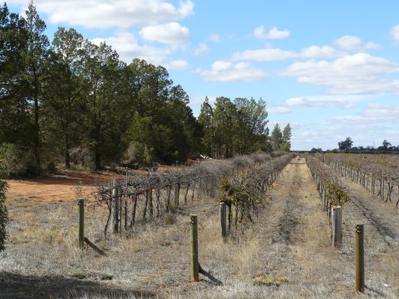 697a Boomerang Avenue, Cardross VIC 3496