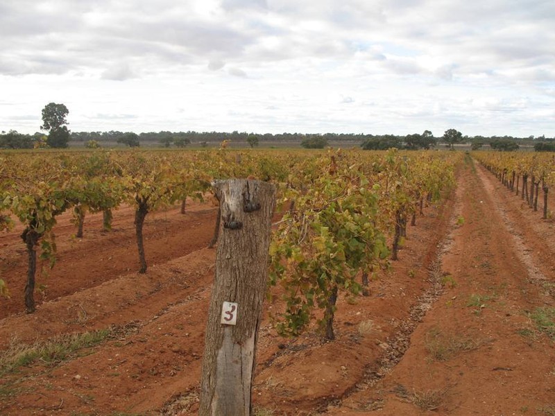 139 Cureton Avenue, Nichols Point VIC 3501