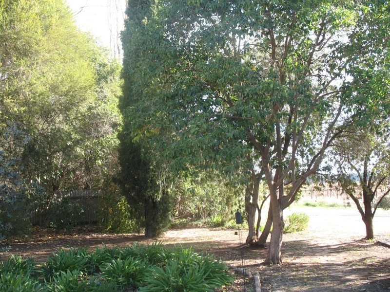 87 Fern Avenue, Irymple VIC 3498