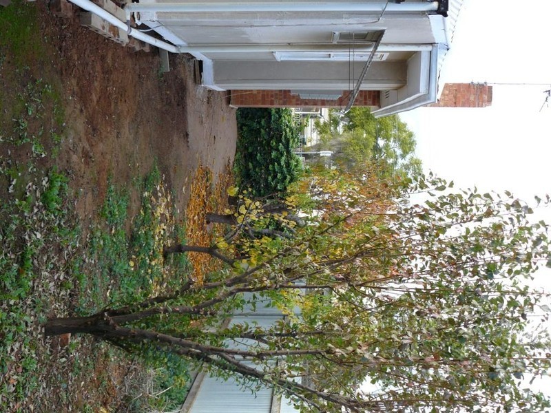 249 San Mateo Avenue, Mildura VIC 3500