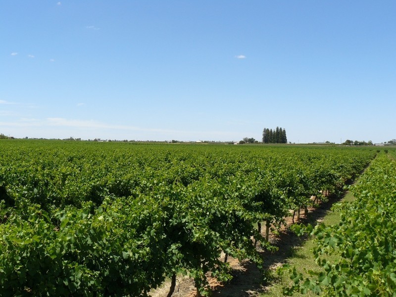 BLock 4 Brownport Road, Red Cliffs VIC 3496