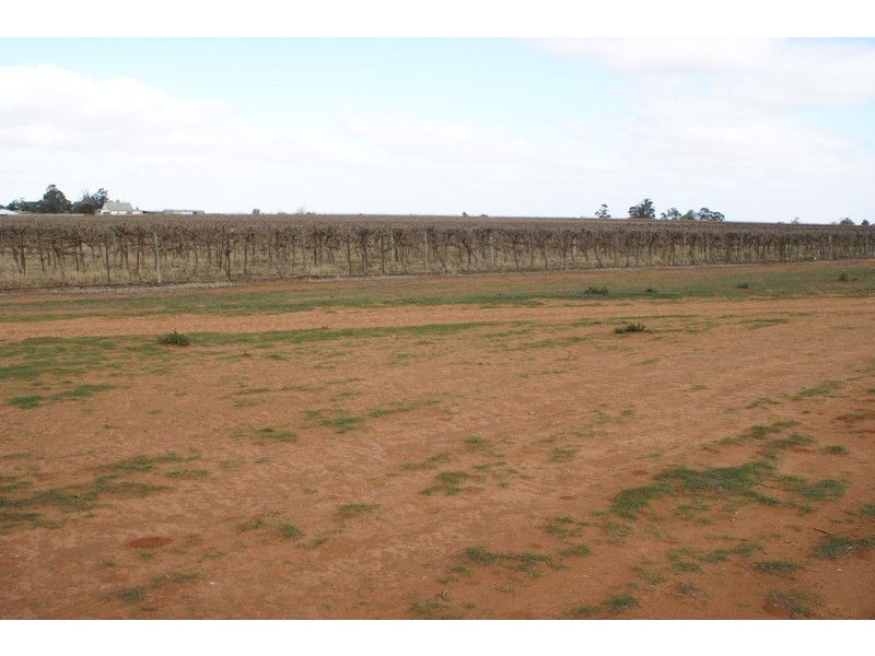 Block 320 Coorong Avenue, Red Cliffs VIC 3496