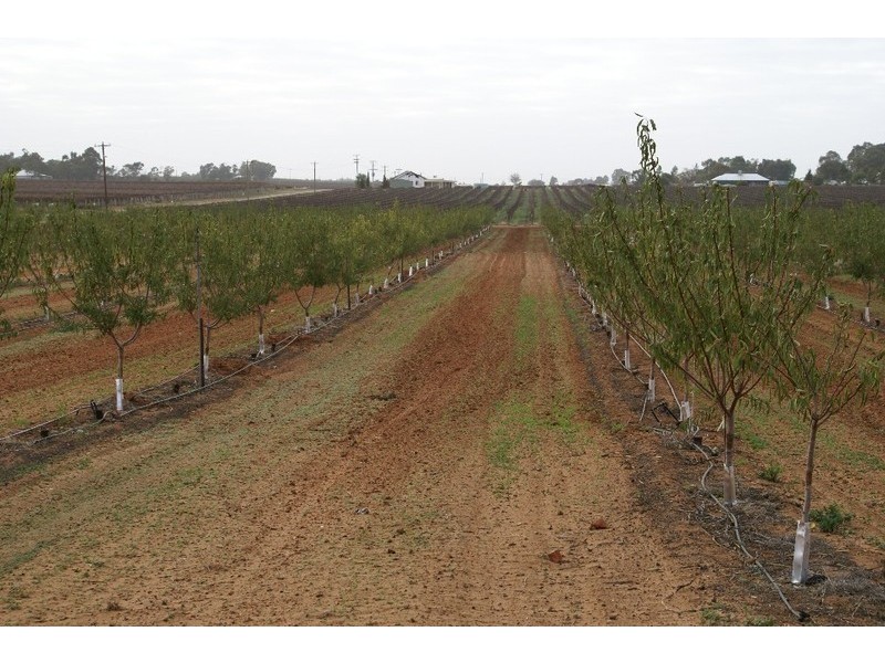 483 and 485a Trioda Street, Red Cliffs VIC 3496