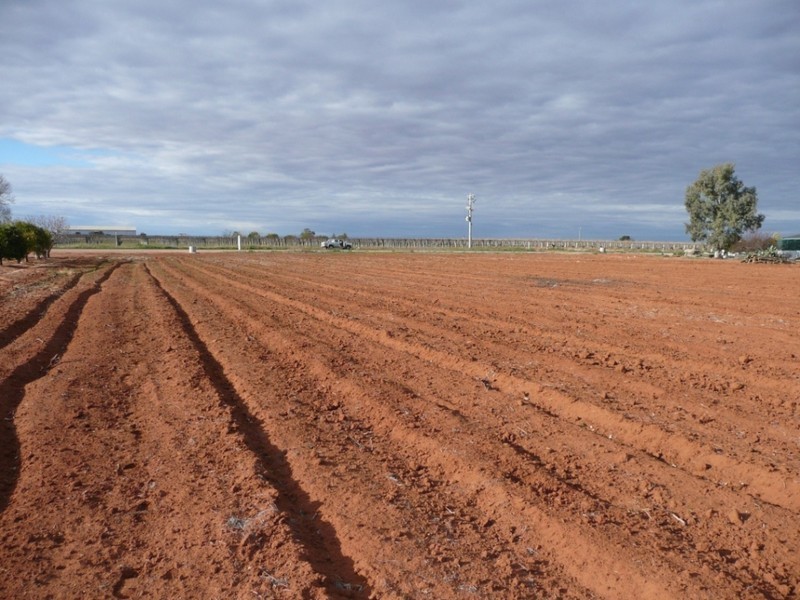 Lot 1 Karadoc Avenue, Irymple VIC 3498