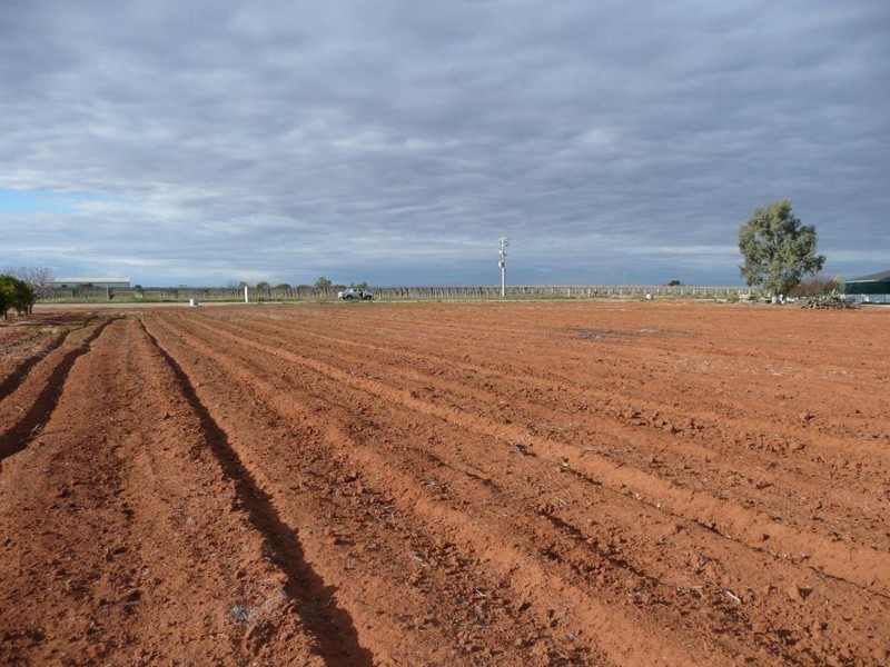 Lot 1 Karadoc Avenue, Irymple VIC 3498