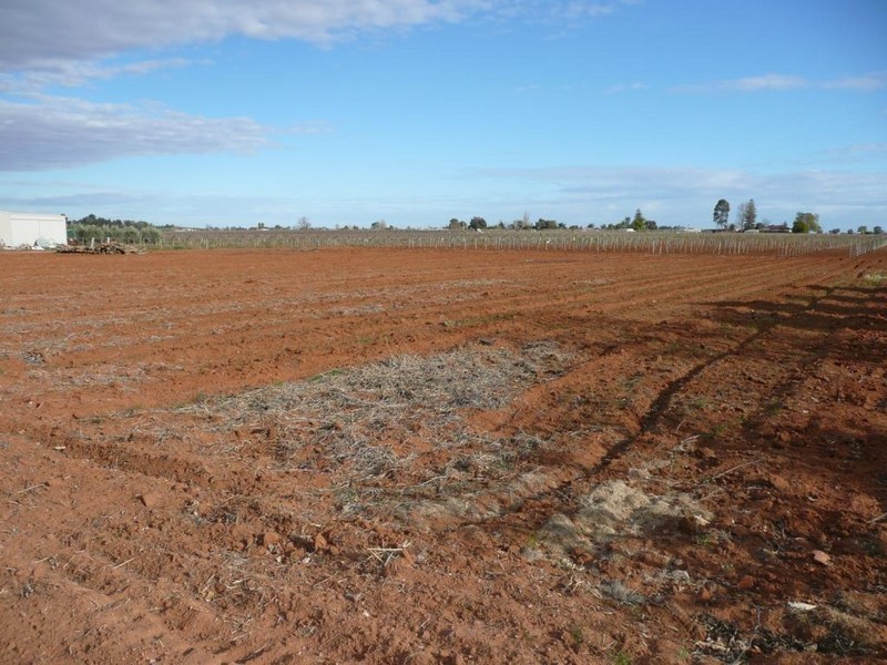 Lot 1 Karadoc Avenue, Irymple VIC 3498
