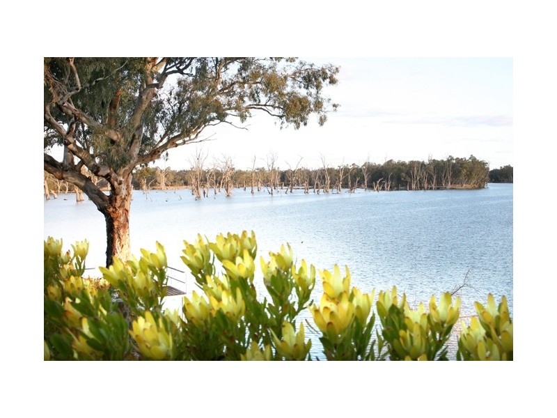 16 Riverview Rise, Gol Gol NSW 2738