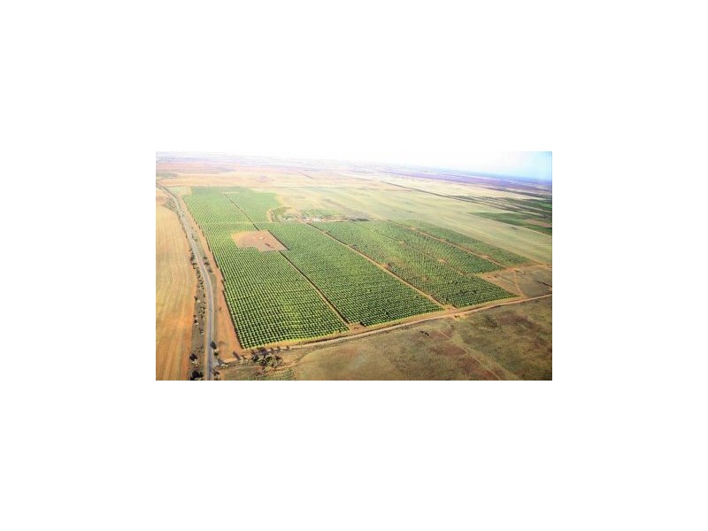 Lot 7 Brownport Road, Nangiloc VIC 3494