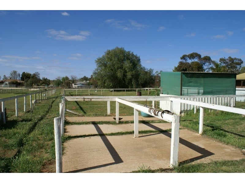 971 Irymple Avenue, Irymple VIC 3498