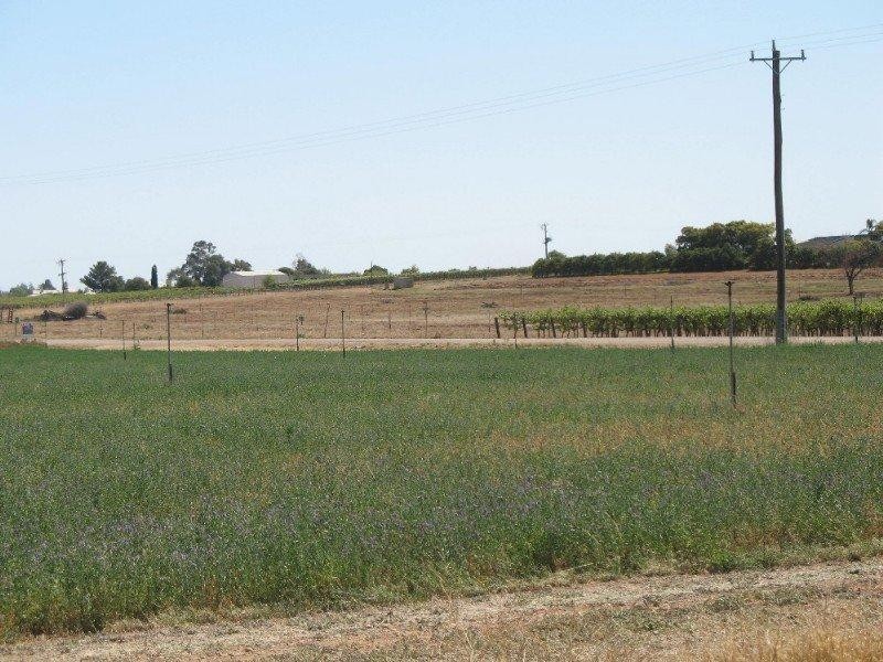 Lot 3 Nineteenth Street, Mildura VIC 3500