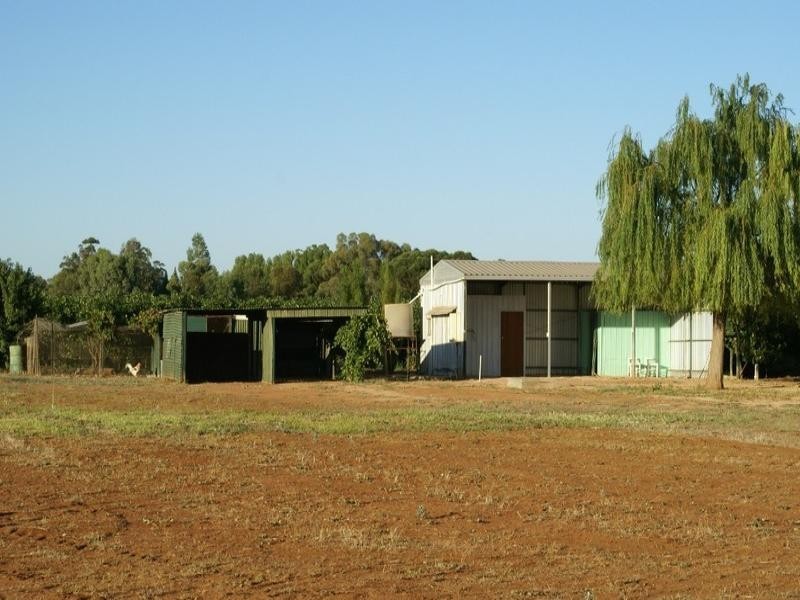 14 Cassia St North, Red Cliffs VIC 3496