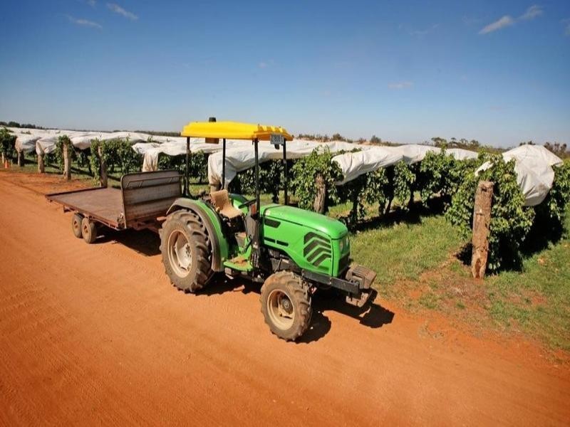 Farms 8, 9, 11 Sturt Highway, Mildura VIC 3500