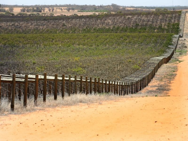 - Castles Crossing Road, Colignan VIC 3494