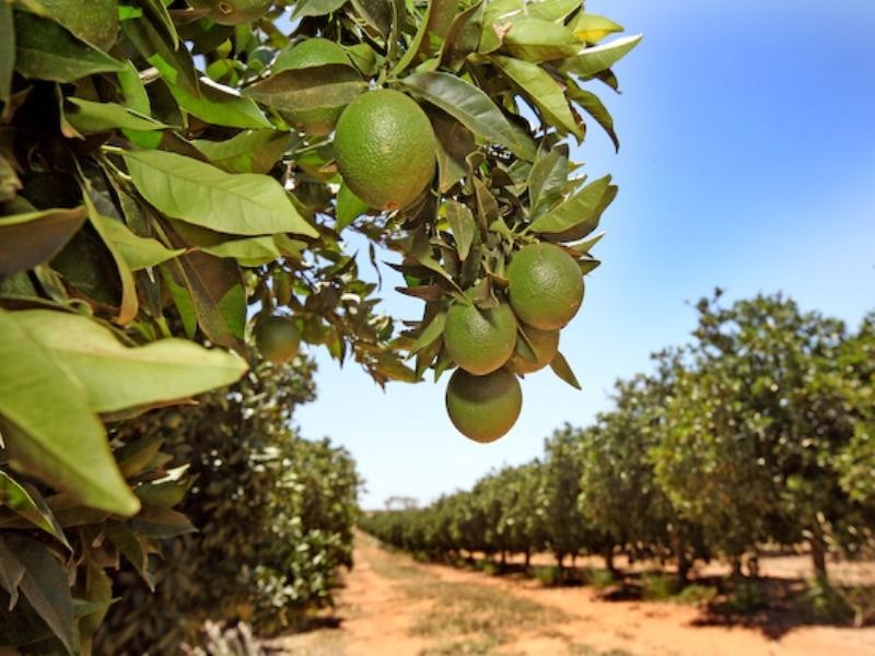 - Castles Crossing Road, Colignan VIC 3494