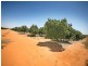 - Castles Crossing Road, Colignan VIC 3494