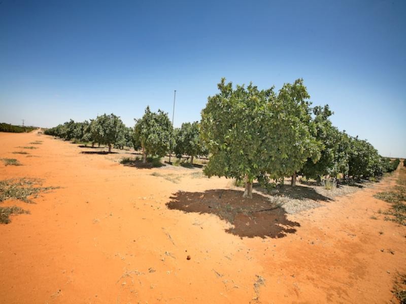 - Castles Crossing Road, Colignan VIC 3494