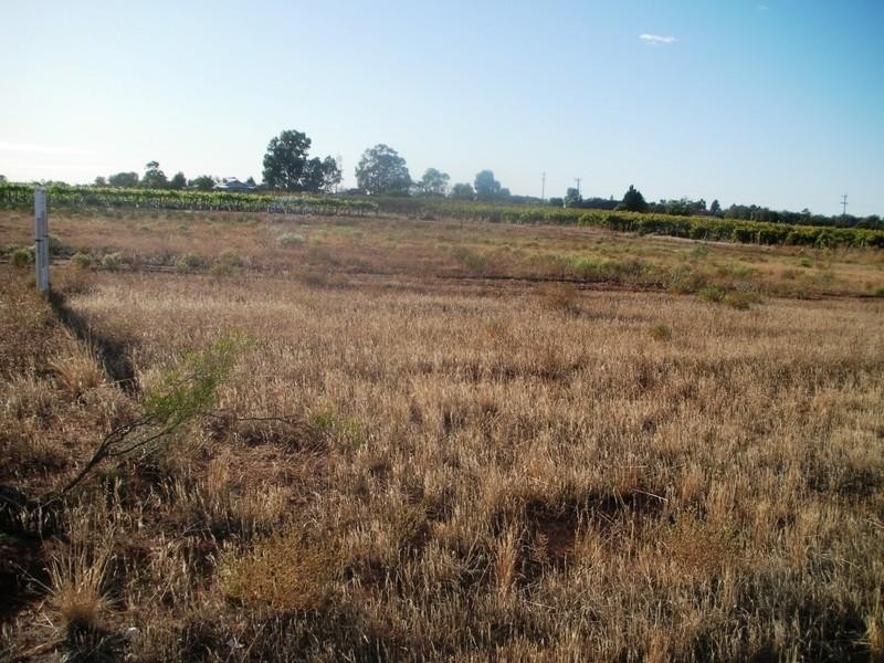 Lot 2 Calder Highway, Red Cliffs VIC 3496
