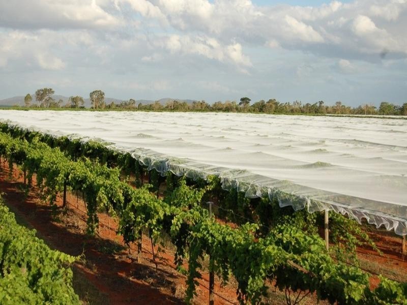 Charters Towers QLD 4820