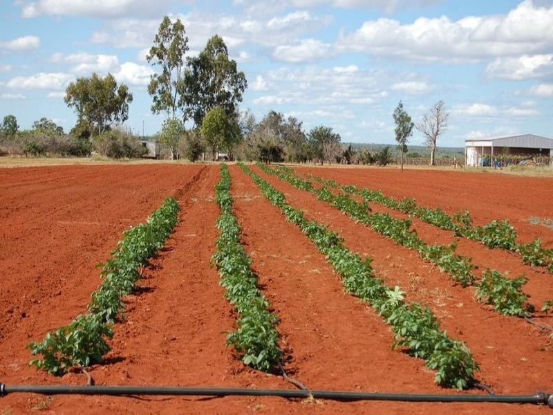 Charters Towers QLD 4820