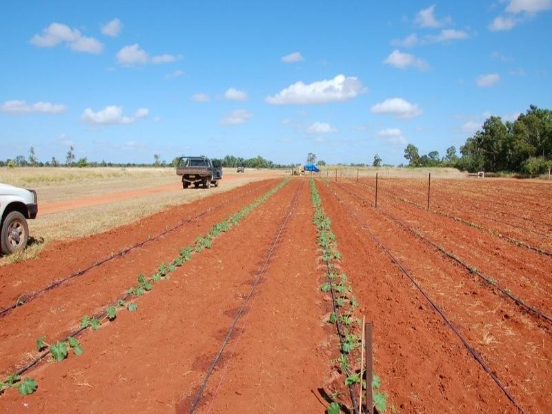 Charters Towers QLD 4820