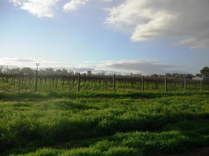 Lot 1 Morpung Avenue, Nichols Point VIC 3501