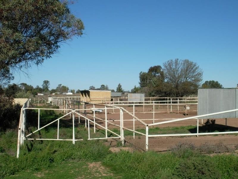 490 Sandilong Avenue, Irymple VIC 3498