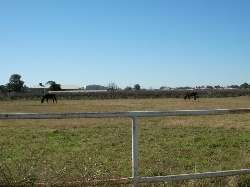 490 Sandilong Avenue, Irymple VIC 3498