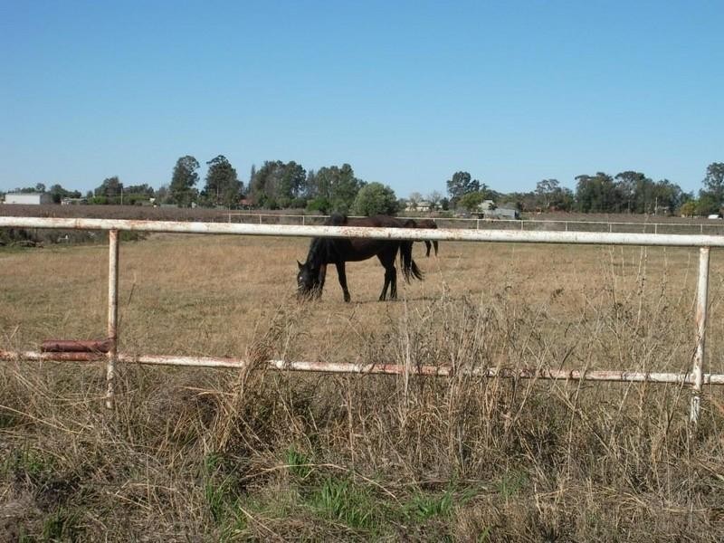 490 Sandilong Avenue, Irymple VIC 3498