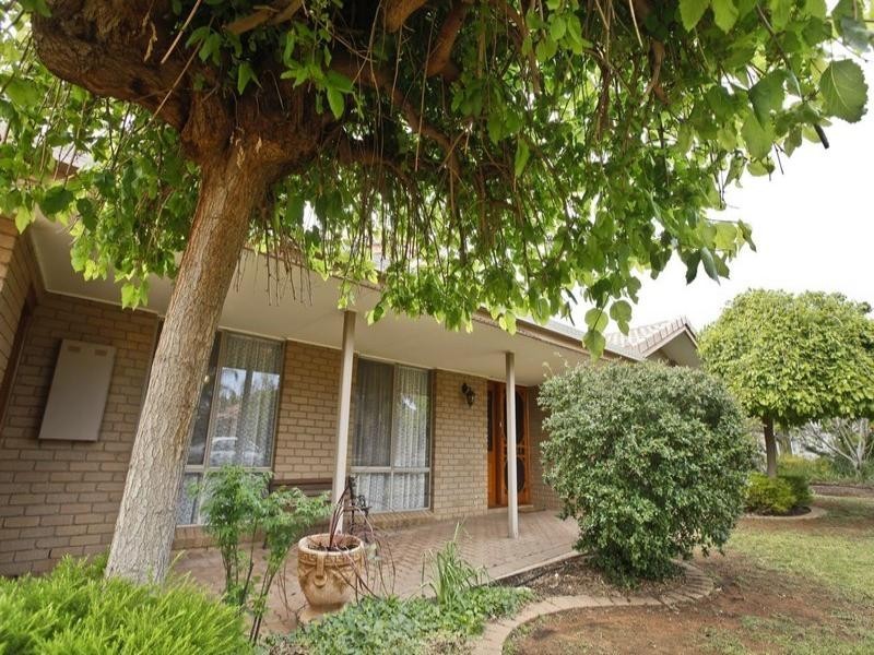 29 Upland Drive, Mildura VIC 3500