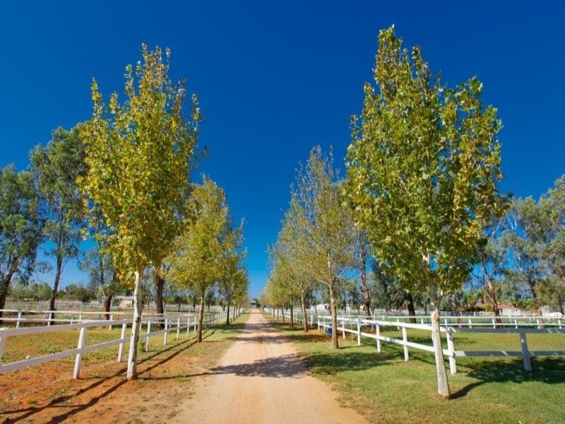 22 First Street, Nichols Point VIC 3501