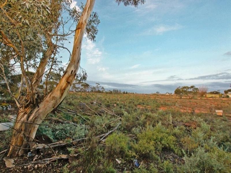 624 Pawson Avenue, Cardross VIC 3496