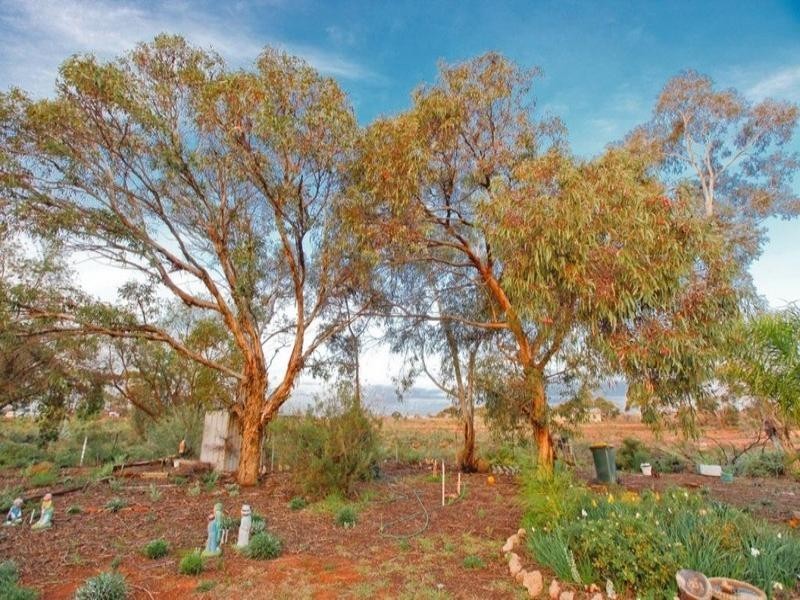 624 Pawson Avenue, Cardross VIC 3496