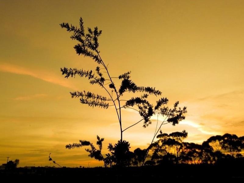 624 Pawson Avenue, Cardross VIC 3496