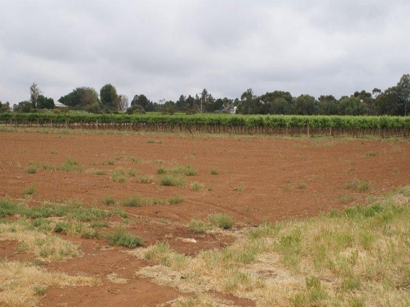 Lot 1 Coorong Avenue, Mildura VIC 3500