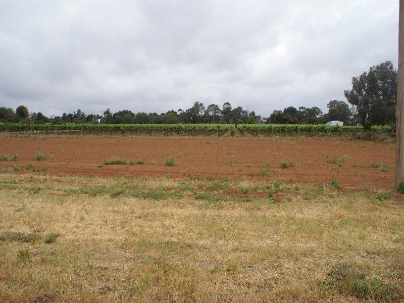 Lot 1 Coorong Avenue, Mildura VIC 3500