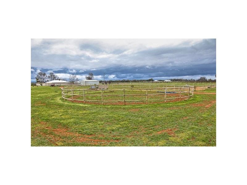 24 Honour Avenue, Merbein VIC 3505