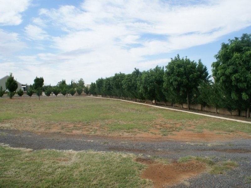 36 Cnr Cobb Way and Co Way, Mildura VIC 3500