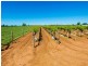 3168 Sixteenth Street, Irymple VIC 3498