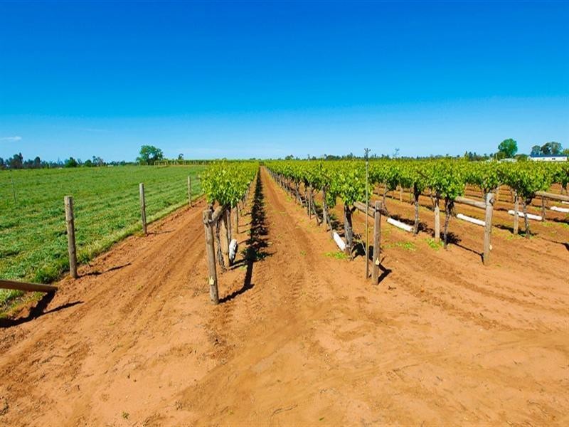 3168 Sixteenth Street, Irymple VIC 3498