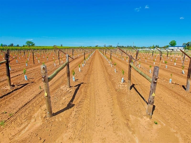 3168 Sixteenth Street, Irymple VIC 3498