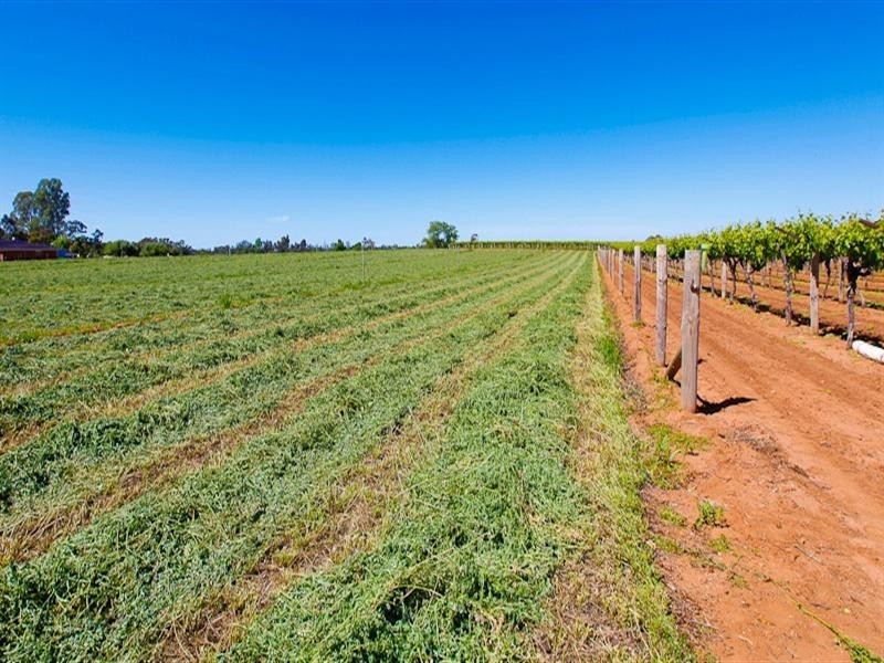 3168 Sixteenth Street, Irymple VIC 3498