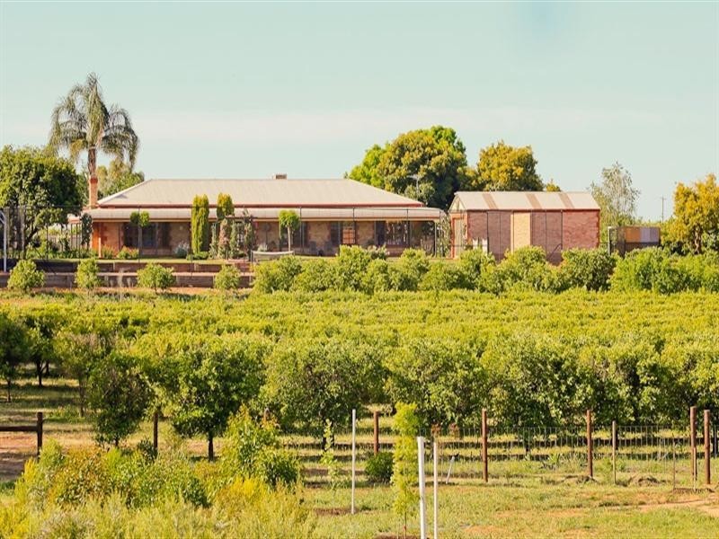 29B Coorong Avenue, Irymple VIC 3498