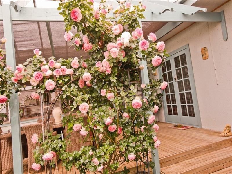 17 Ovens Avenue, Red Cliffs VIC 3496