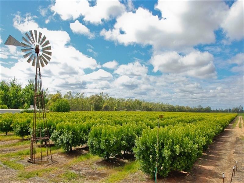 301 Edey Road, Red Cliffs VIC 3496