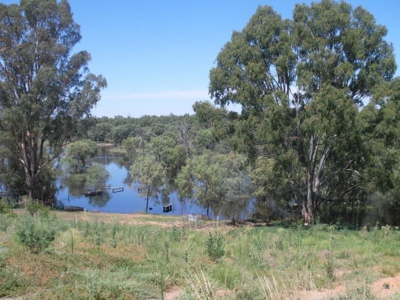 Lot 52 (34) Cobb and Co Way, Gol Gol NSW 2738