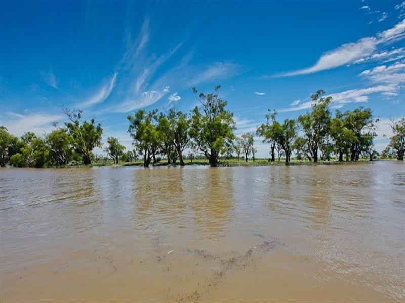 194 Adams Street, Wentworth NSW 2648