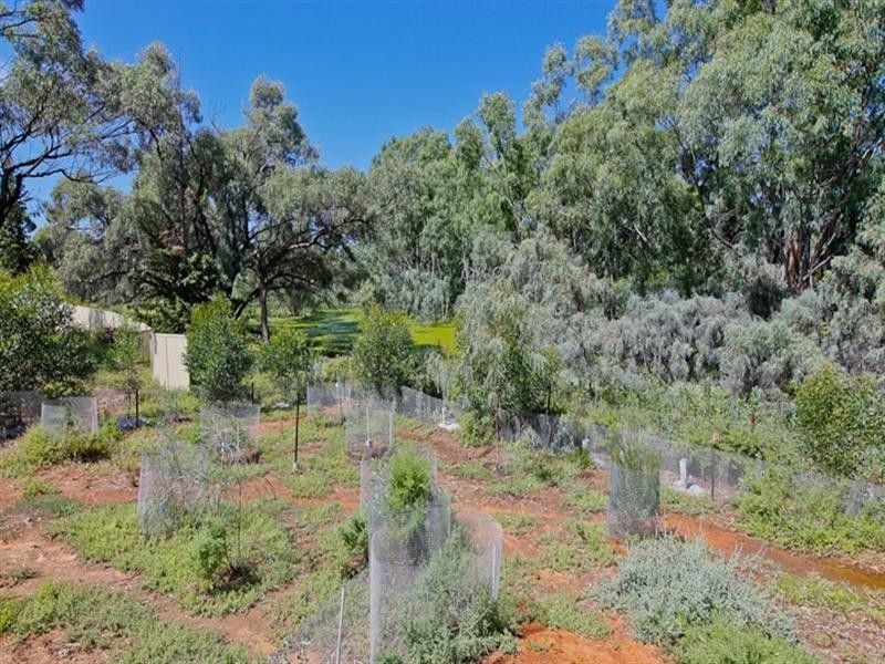 194 Adams Street, Wentworth NSW 2648