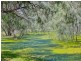 194 Adams Street, Wentworth NSW 2648
