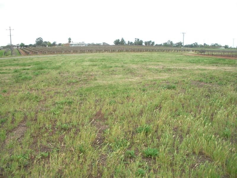 Lot 1 Hazel Road, Red Cliffs VIC 3496