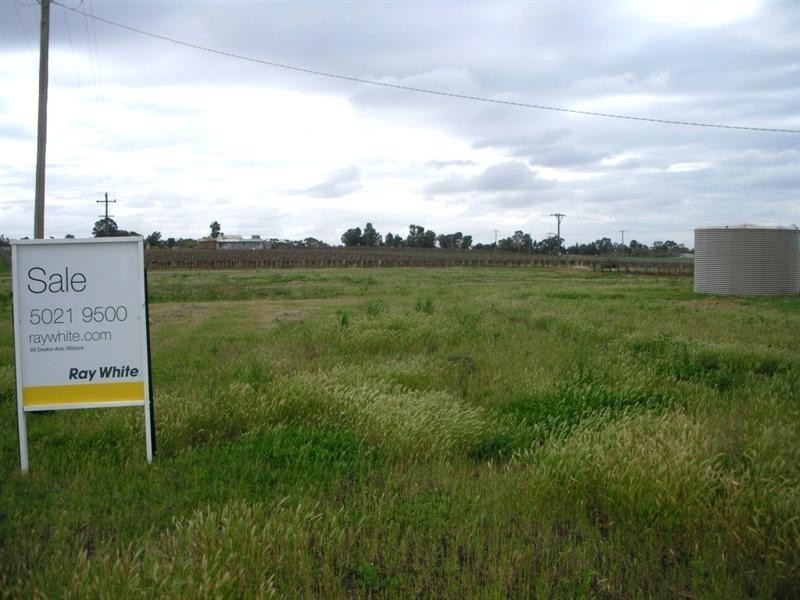 Lot 1 Hazel Road, Red Cliffs VIC 3496